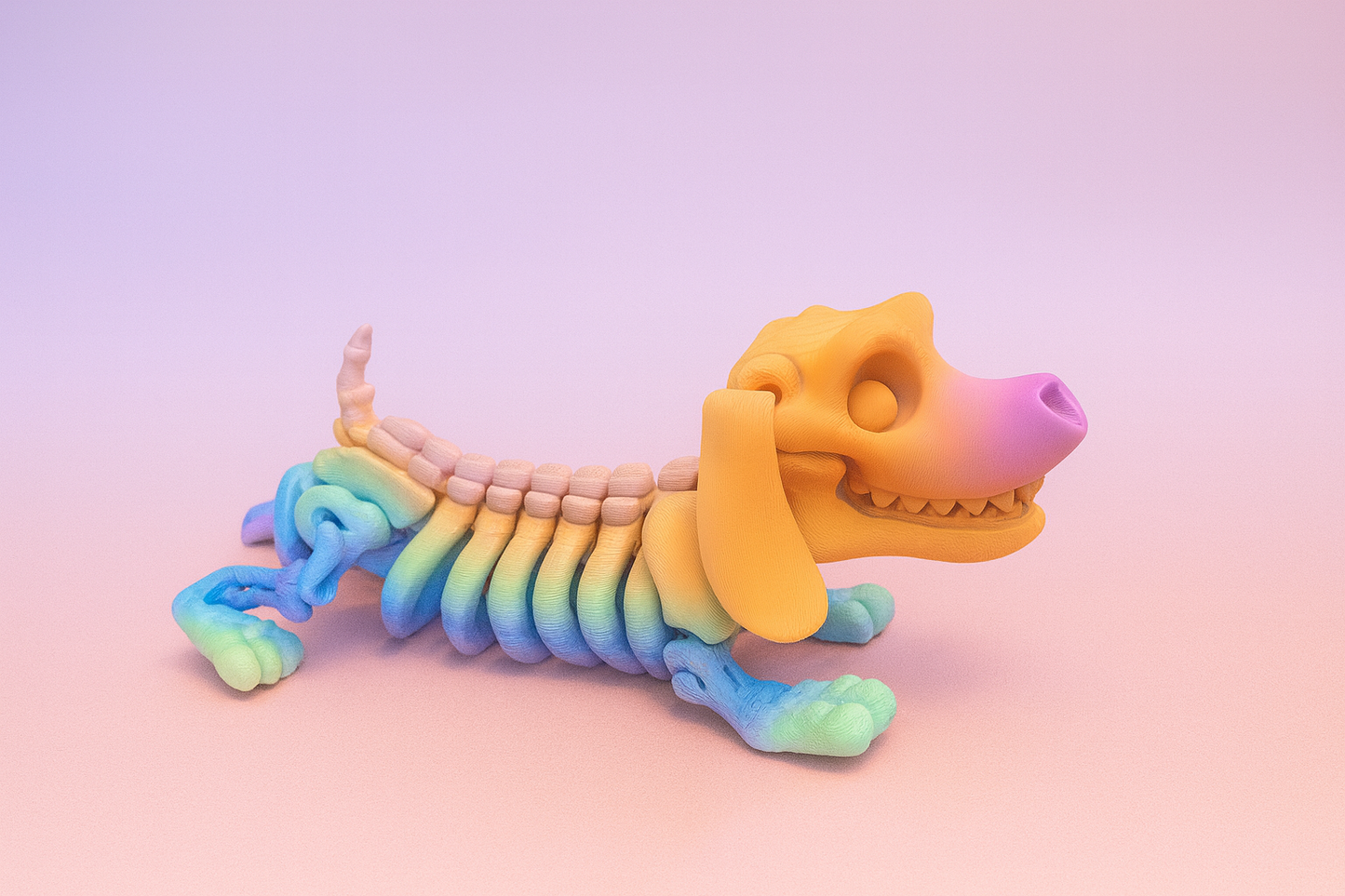 Articulated Skeleton Dachshund Puppy