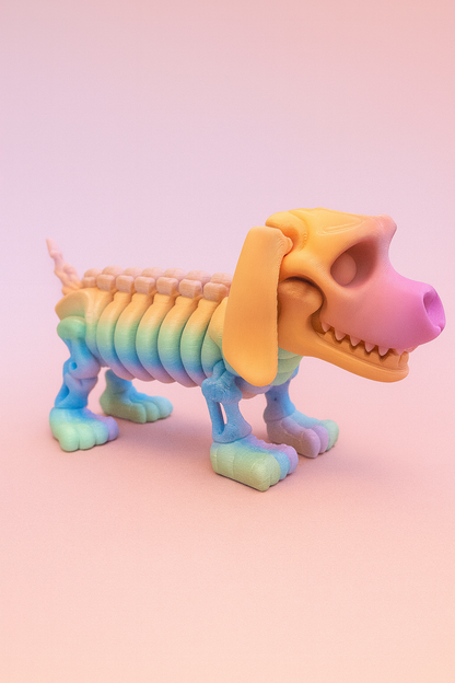 Articulated Skeleton Dachshund Puppy