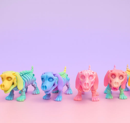 Articulated Skeleton Dachshund Puppy