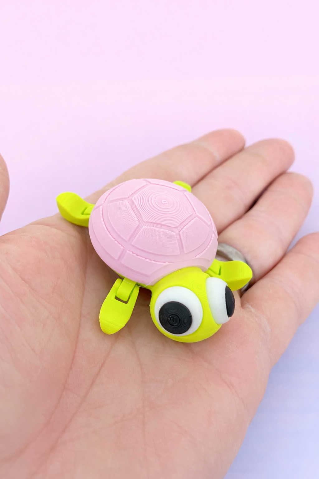 WIGGLERZ - Tilly the Turtle 🐢